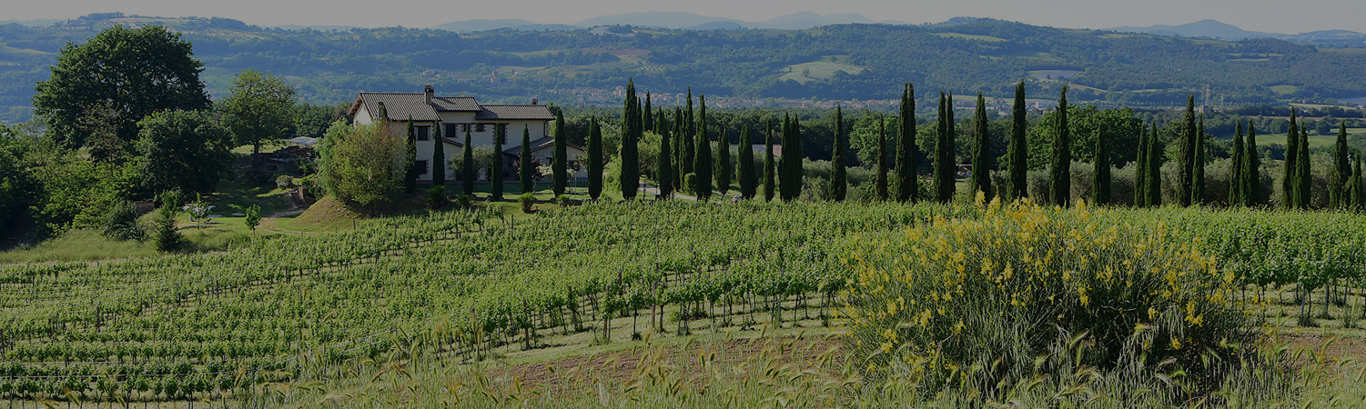 AZIENDA AGRICOLA
